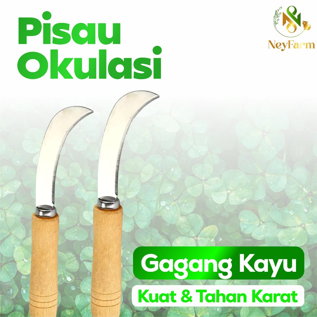 Pisau Buah Handmade - Pisau Buah Lengkung Serbaguna - Pisau Lengkung Gagang Kayu