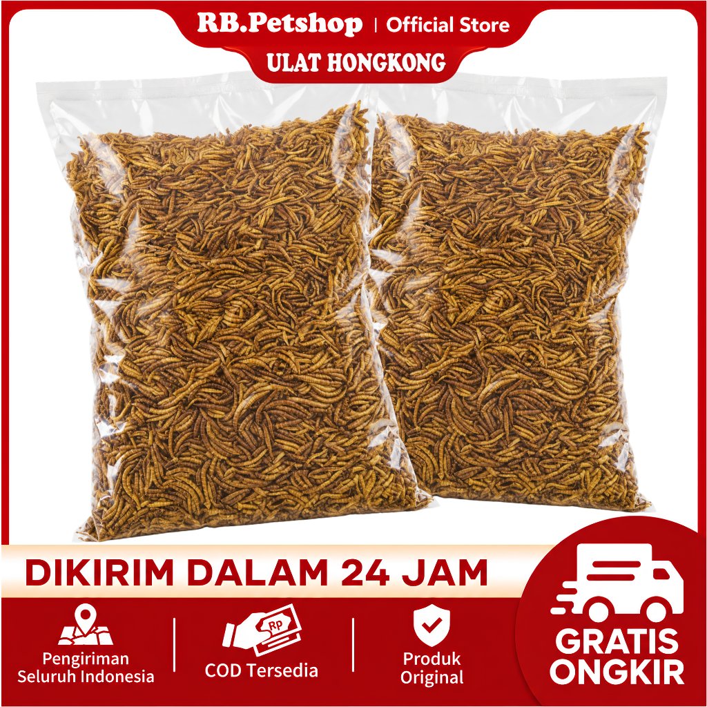 ULAT HONGKONG KERING PREMIUM 1 KG PAKAN SNACK HAMSTER SUGAR GLIDER LANDAK MINI DAN BURUNG