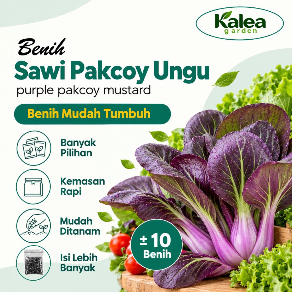 Benih Pakcoy Ungu Unggul | Bibit Sawi Pakcoy Ungu untuk Kebun & Hidroponik