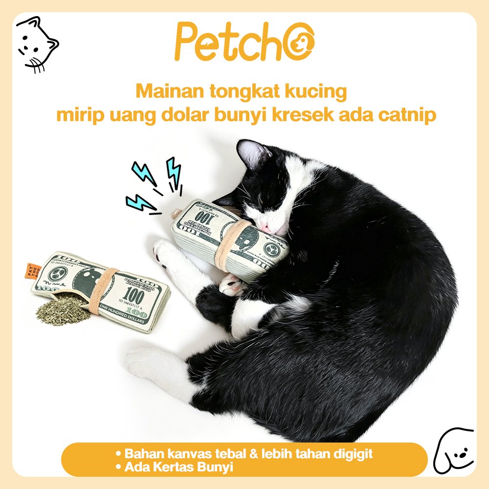 Mainan Kucing Bentuk Uang Dolar - Mainan Gigit Catnip Kanvas Tebal Bunyi Kresek Anti Stres