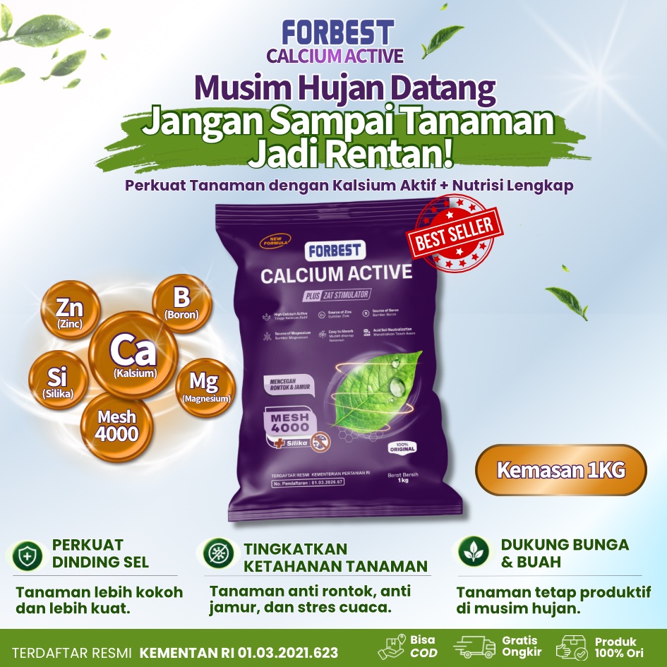 1 Kg New Forbest Calcium Active - Pupuk Boron & Kalsium - Pelebat Buah dan Anti Rontok - Boron untuk