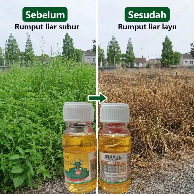 Herbisida LI Niu Pembunuh Pohon Besar Racun Kayu Besar Paling Ampuh Racun Bambu Dan Rumput Herbisida