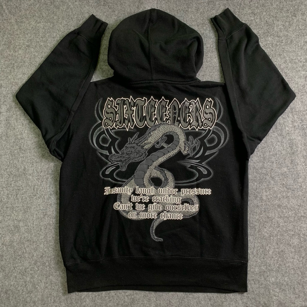 Vintage Y2K Sixteeners Boxy Hoodie