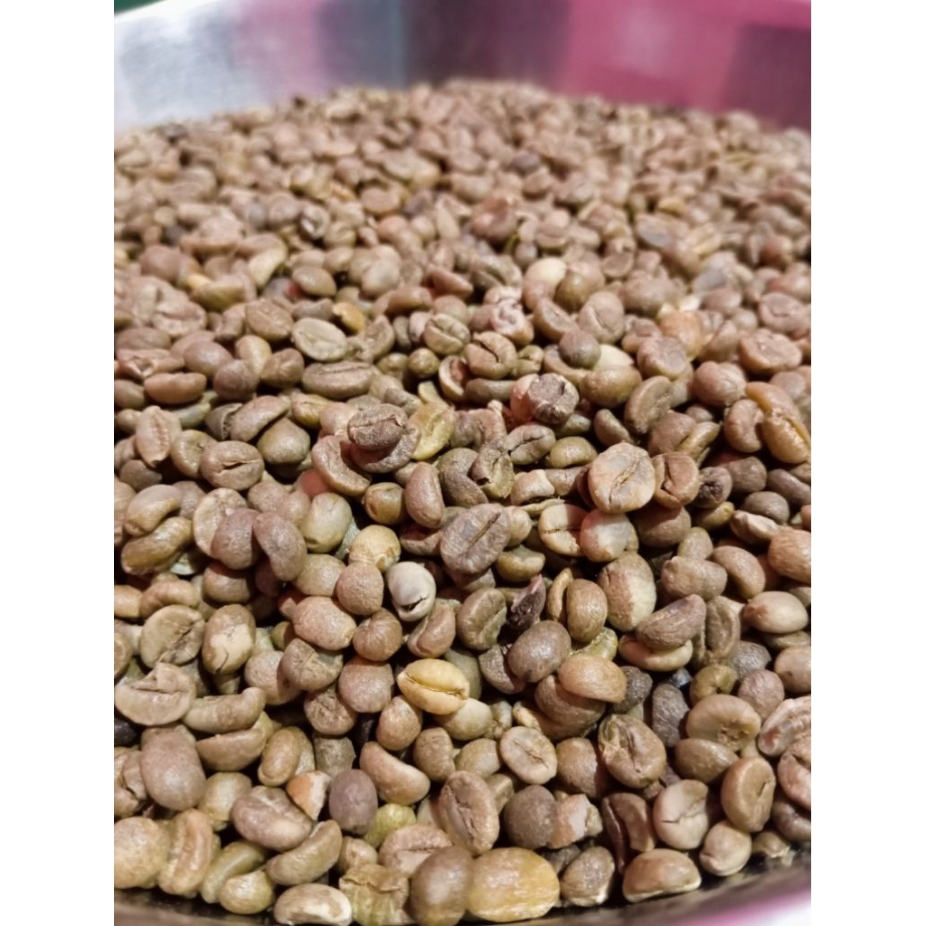 PROMO GREEN BEAN BIJI KOPI ROBUSTA LAMPUNG ASALAN ORIGINAL ROBUSTA NATURAL PROCESS