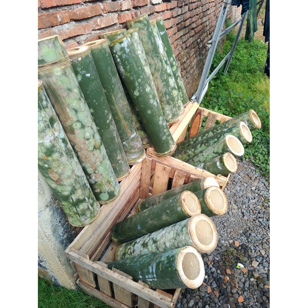 PRENG PETUNG / BAMBU PETUNG