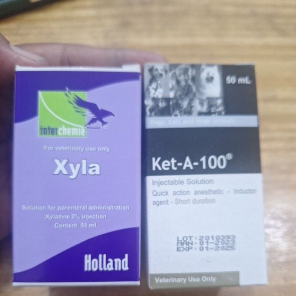 Ketamin dan xylazin