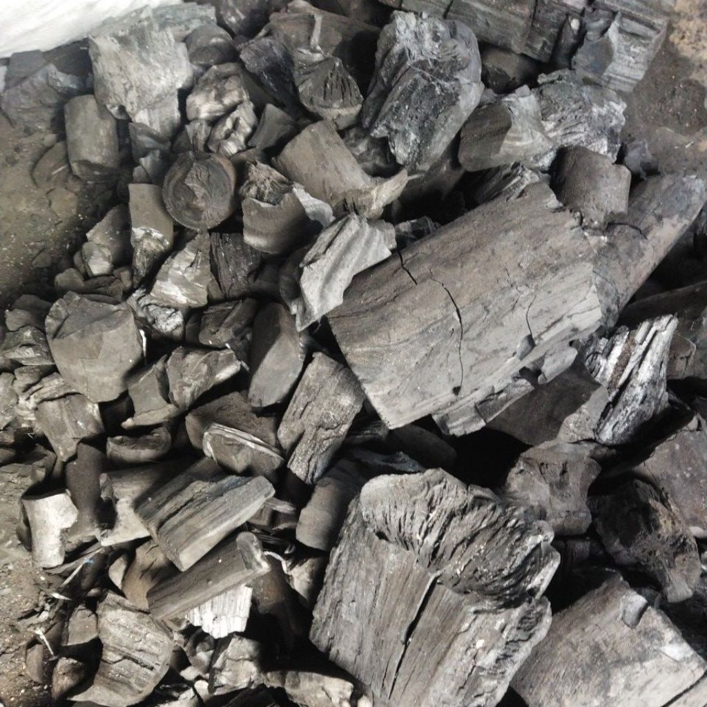 ARANG KAYU / ARENG KAYU KARUNGAN