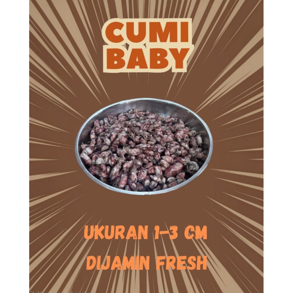 

Baby Cumi Asin 100gr Segar Premium