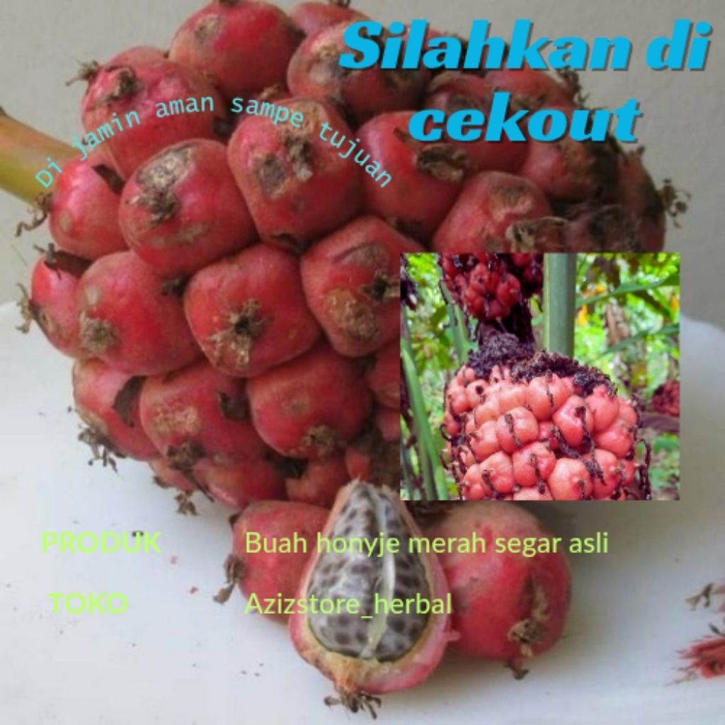 

buah honyje merah segar kualitas terbaik 1 kg