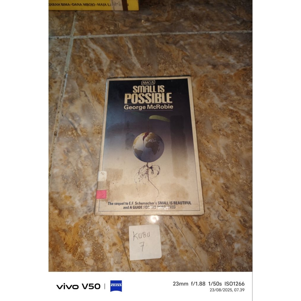 Buku Abacus Small is Possible by George McRobie