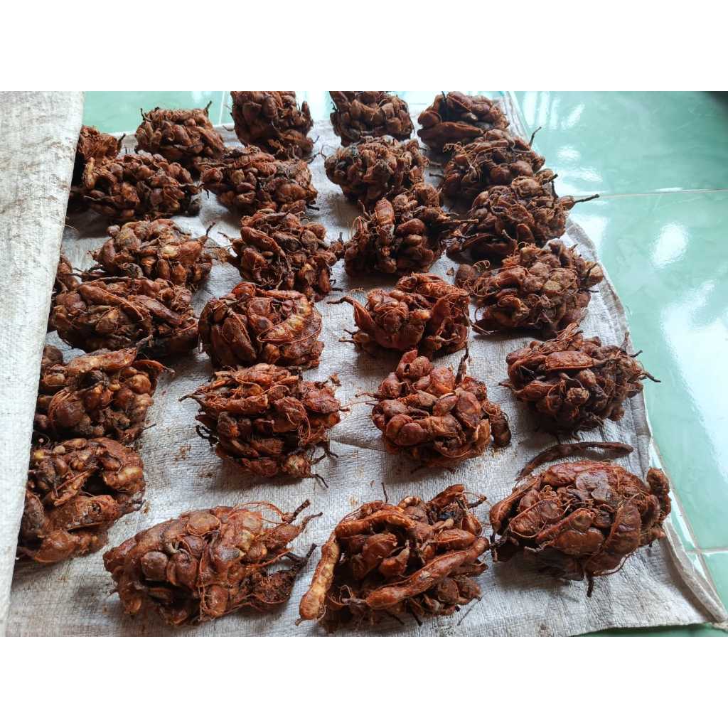 

Asem Jawa Asli fresh kemasan perkg