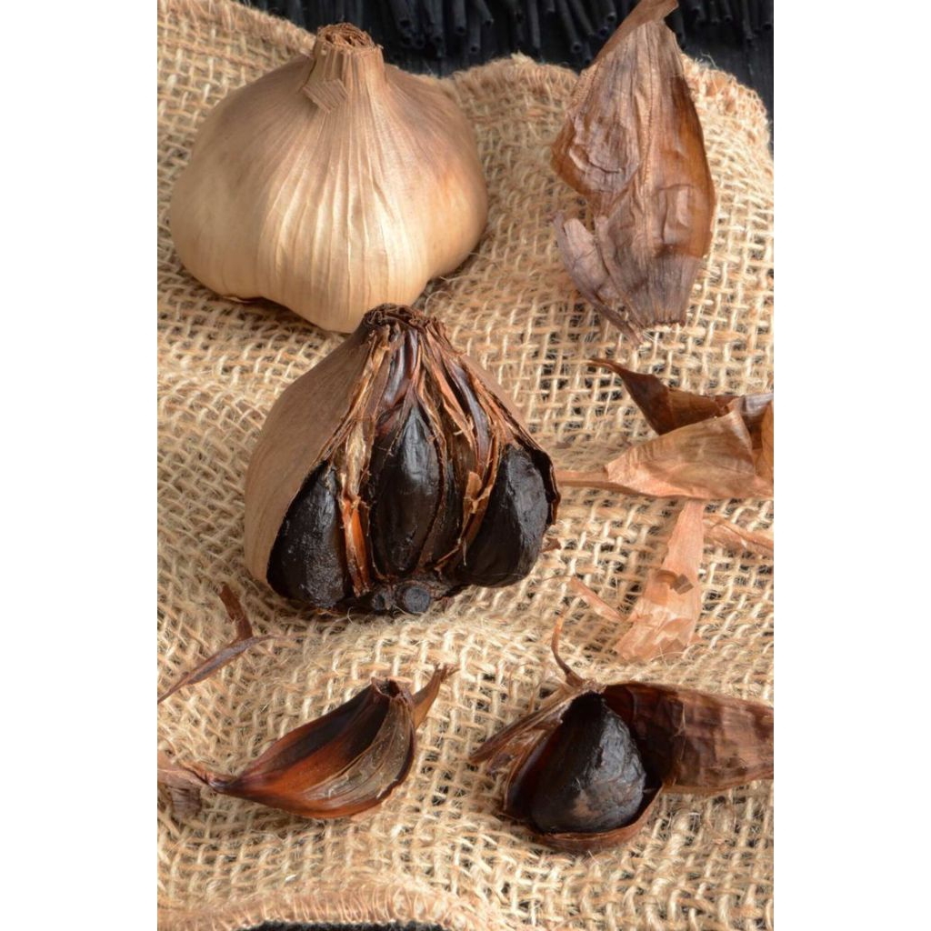 BLACK GARLIC KATING (BAWANG KATING) *produksi sendiri