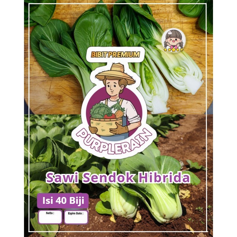 Bibit Premium Sawi Sendok Hibrida | Biji Benih Sawi Sendok | Sawi Sendok