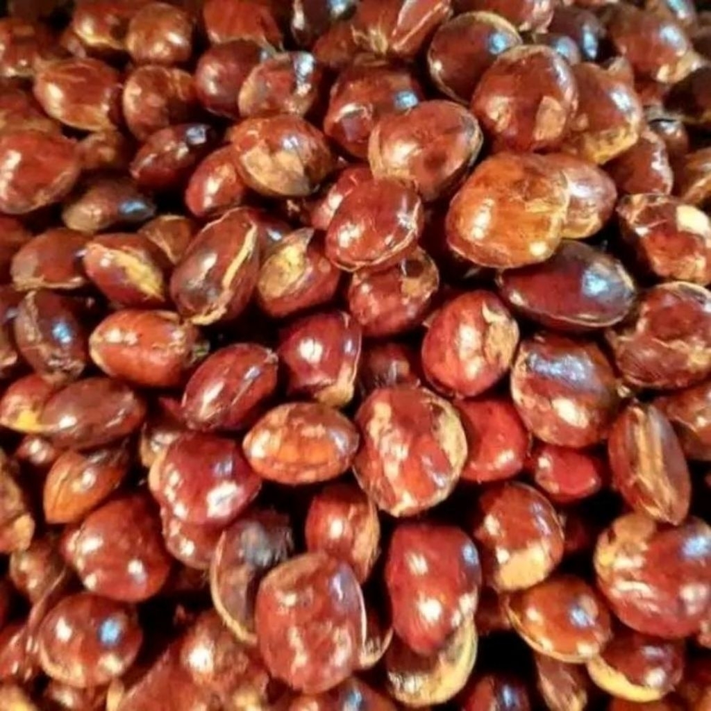 

jengkol tua jengkol lalap