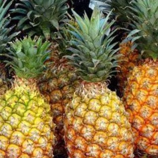 

Nanas Madu bijian besar Free Ongkir