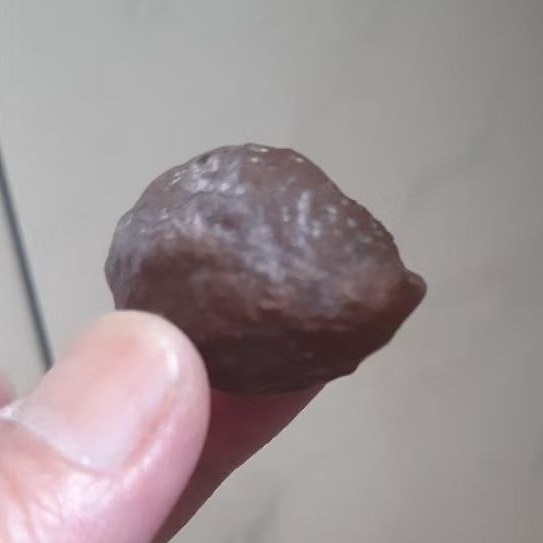 Kemiri Adu Muncang Adu Yanti Dahdir Pasangan Mewah Size Kecil