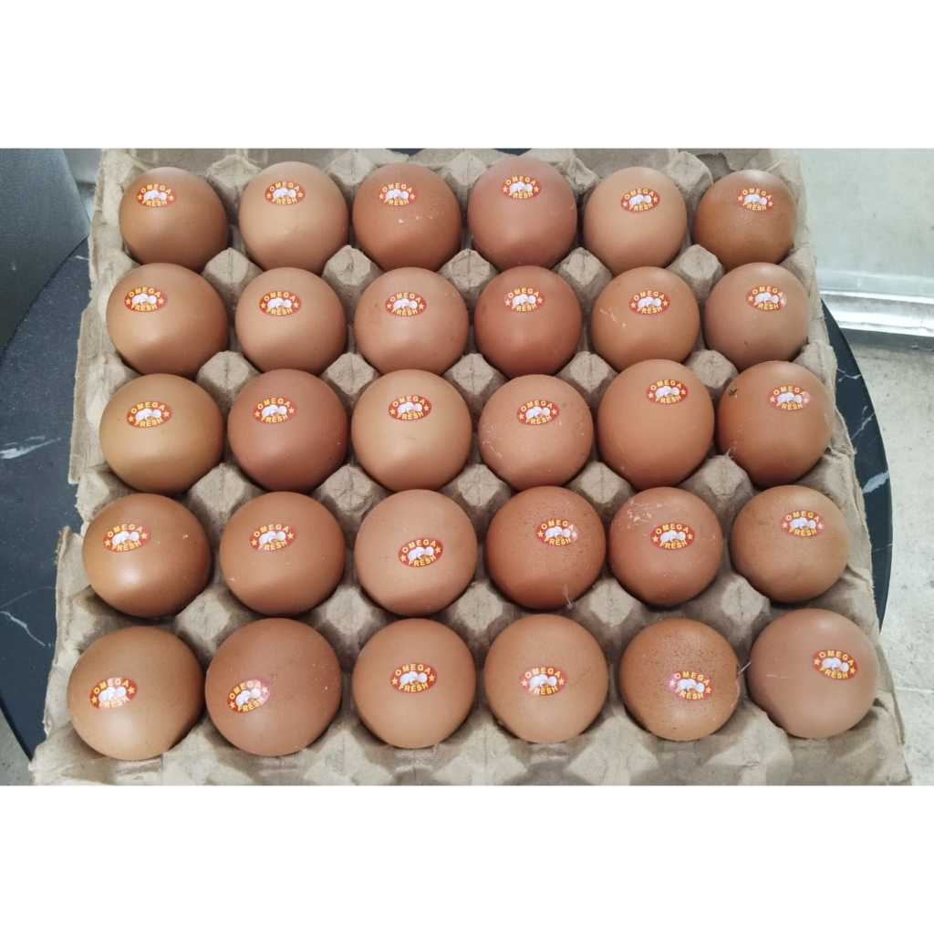 

TELUR OMEGA 3 (1KG) isi 15-16 butir