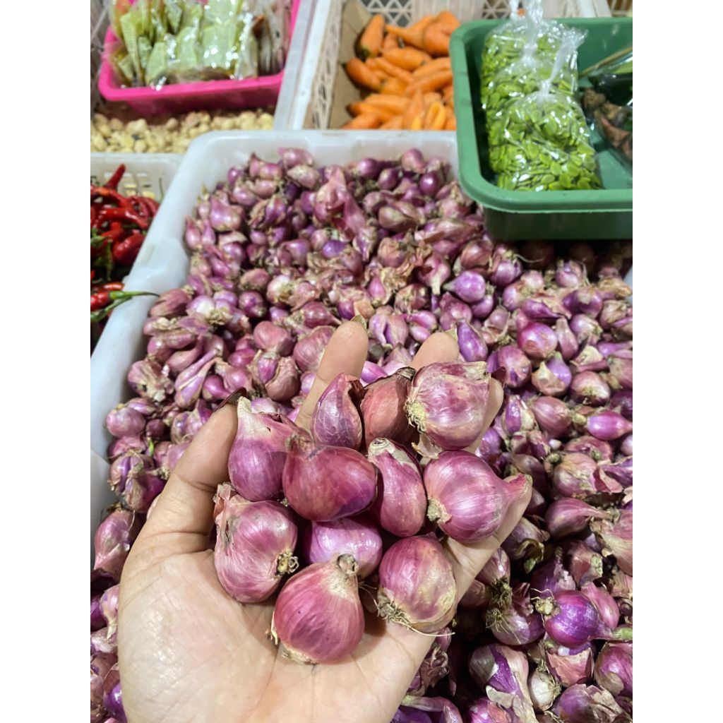 

Bawang merah