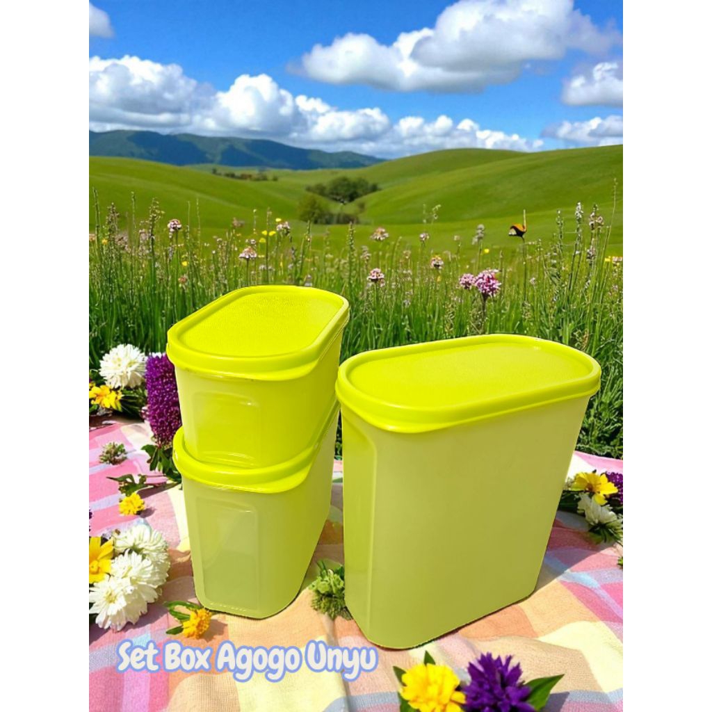 Set Box Agogo Oval Cute DJP