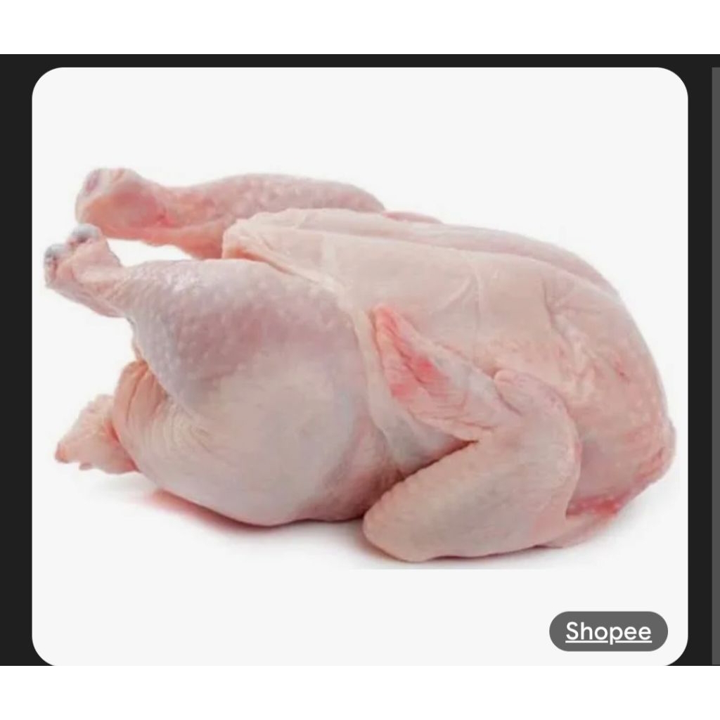 

Ayam utuh frozen 900-1000gr