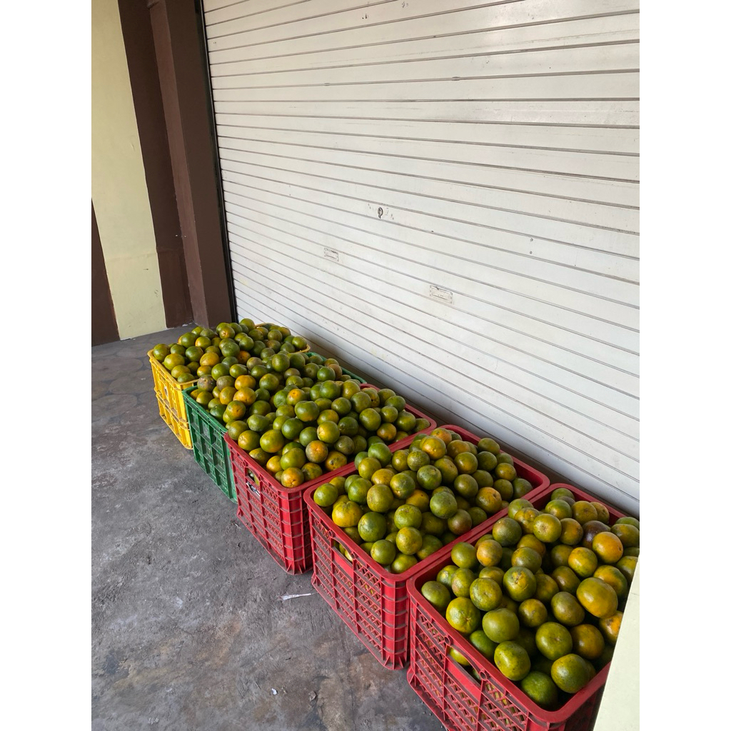 

JERUK BUAH SEMBORO SUPER 1kg isi 6-7 (FRESH‼️)