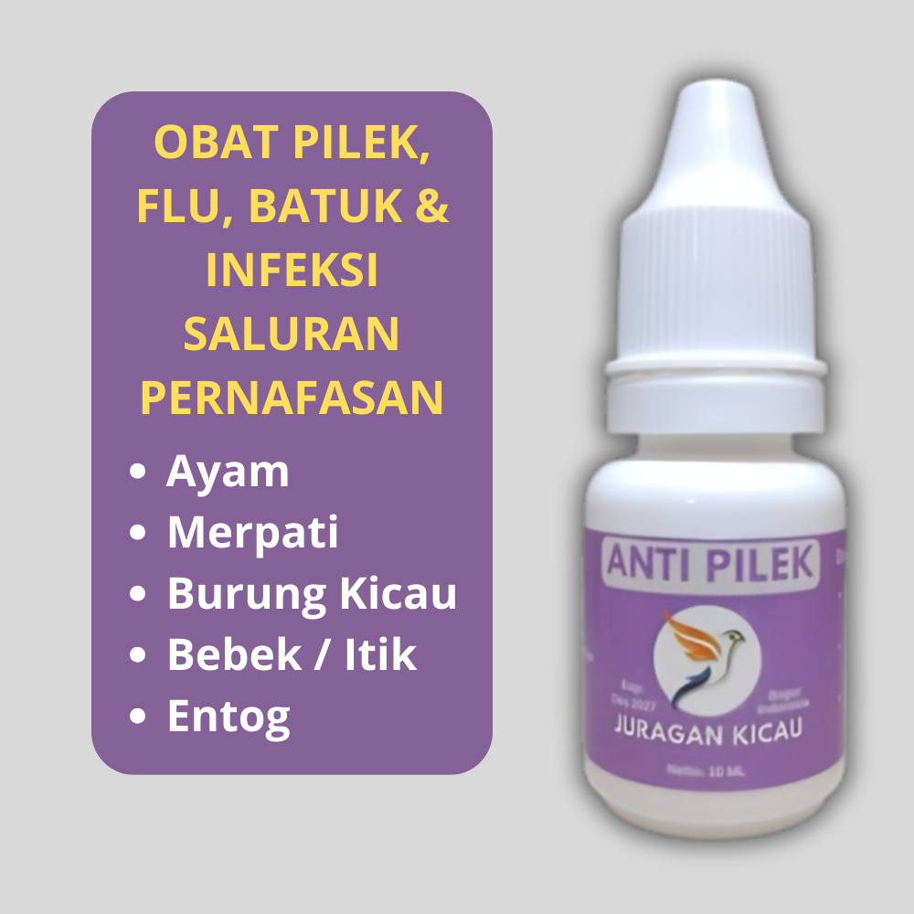 Obat Pilek Ayam Merpati Burung Kicau Terkena Flu Batuk Dan Gangguan Pernafasan