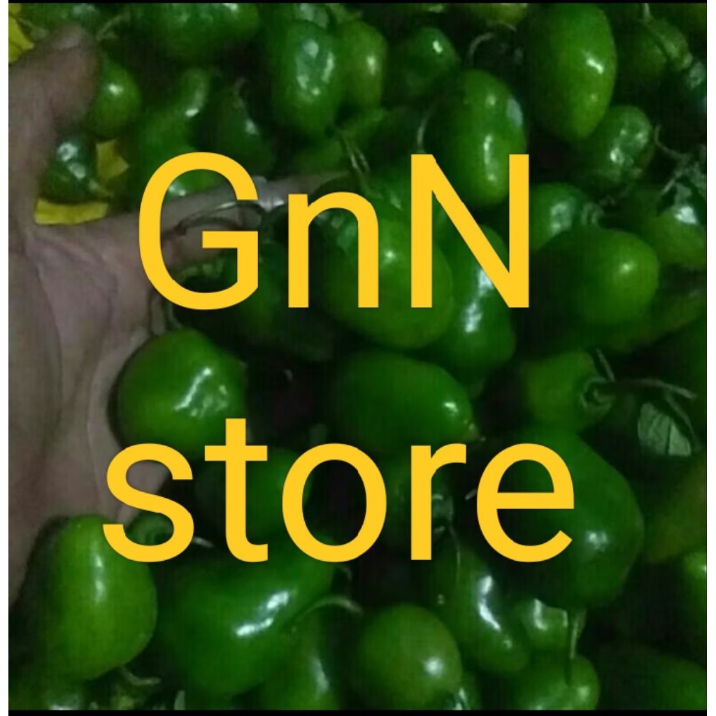 

250g cabe bendot segar besar bandung pilihan250g