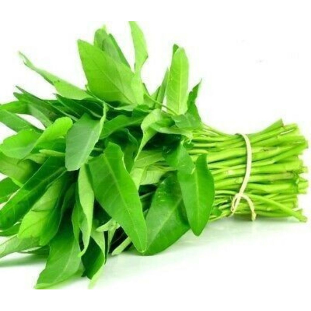 

Sayur Kangkung potong kemasan VAKUM siap masak Murah dan Praktis