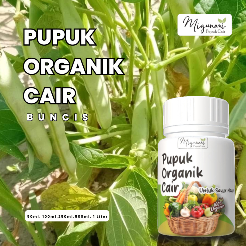 Pupuk Cair Organik Pupuk Migunani Untuk Tanaman Sayur Mayur Buncis
