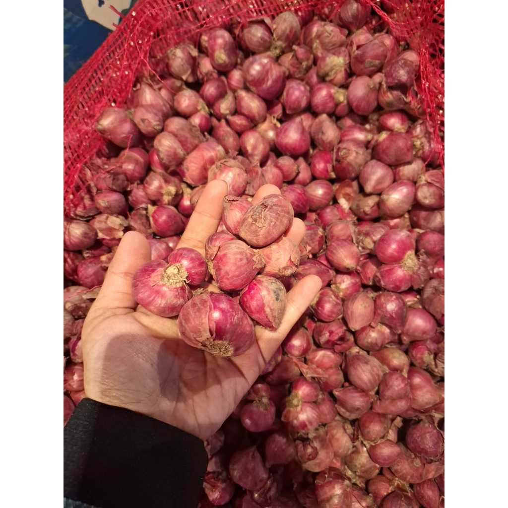 

ALIBANU Bawang Merah 1KG JUMBO