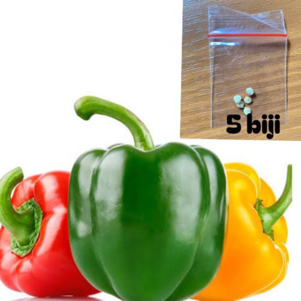 

ready biji paprika berkualitas isi 5