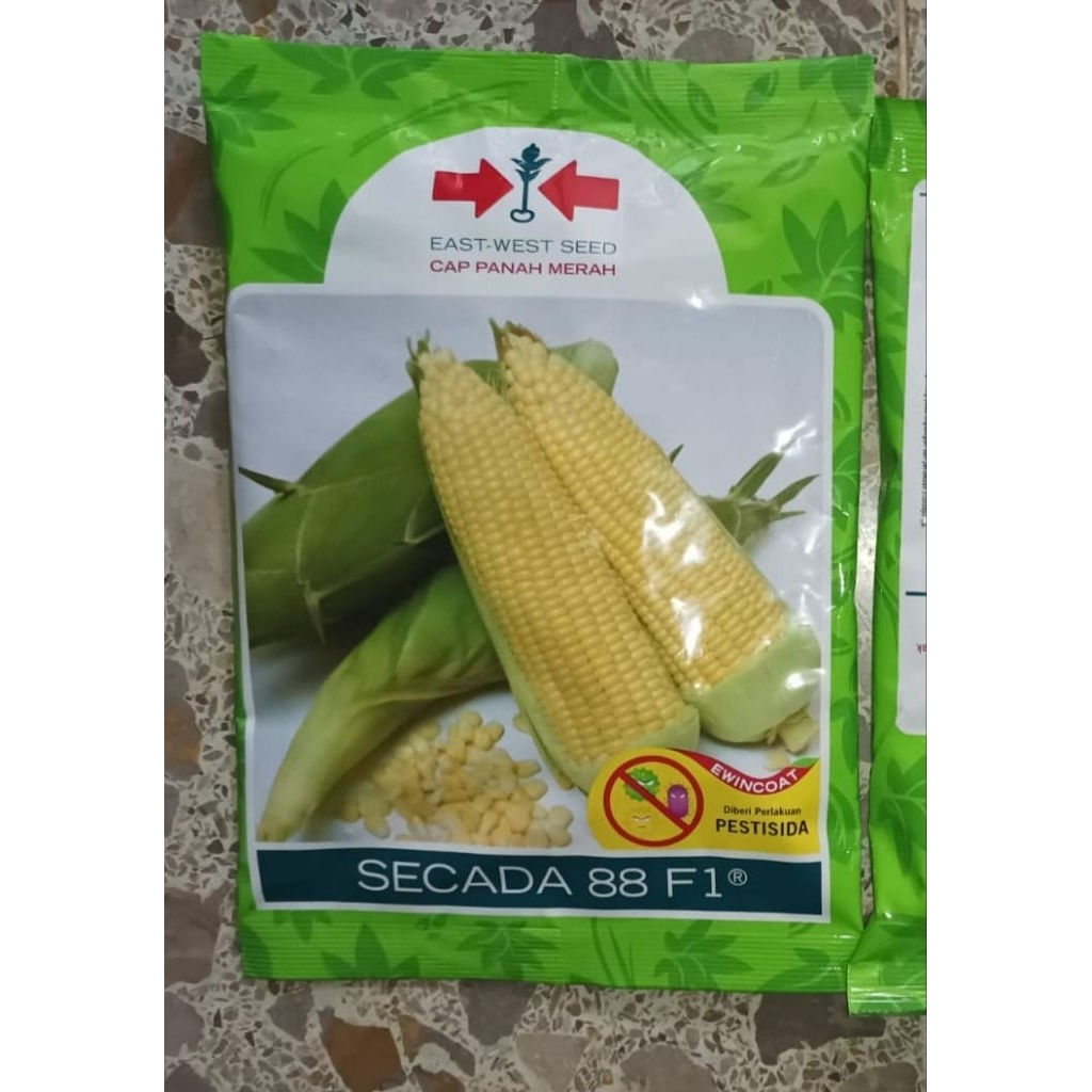 benih jagung manis scada 88 f1 panah merah 250 gram 1750 butir