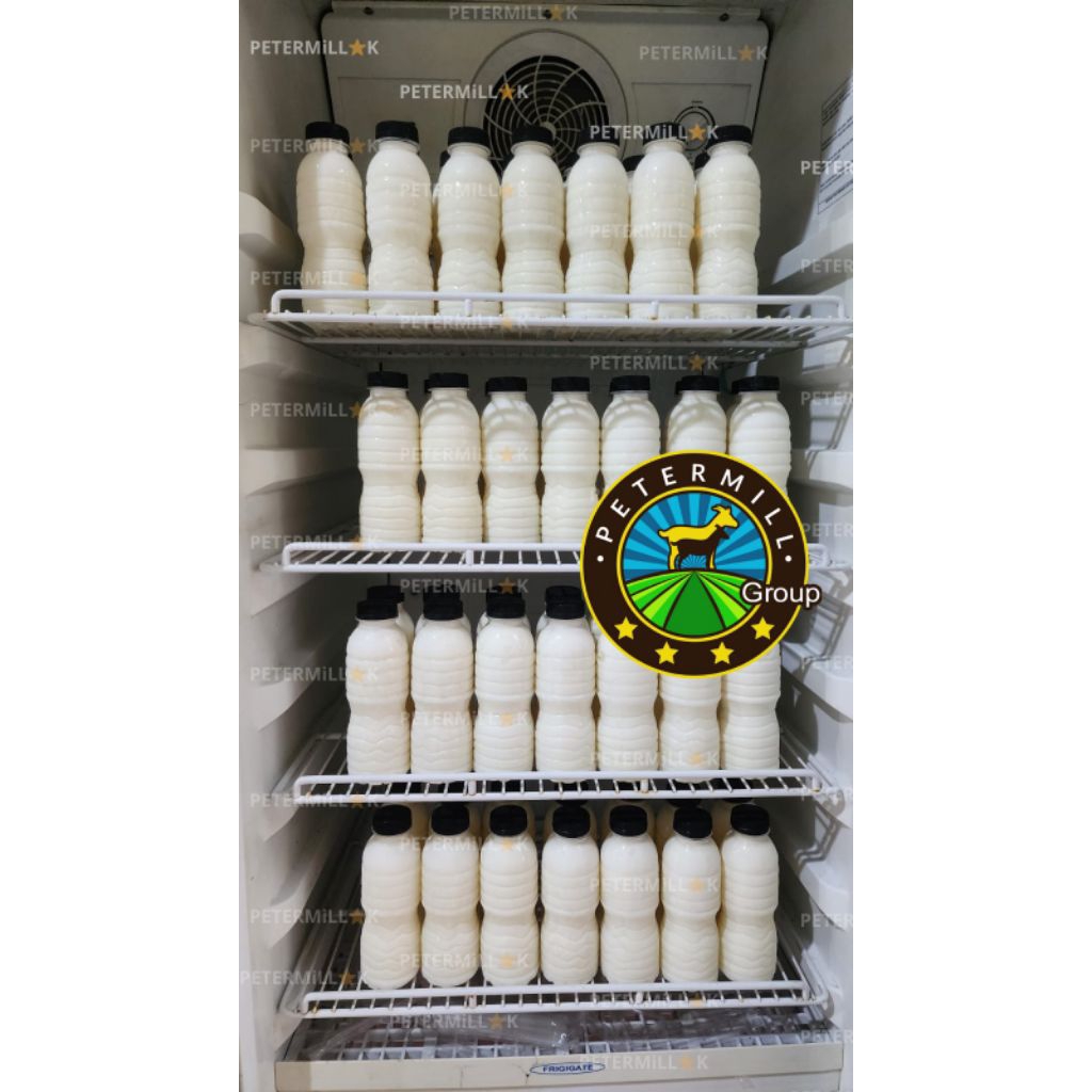 susu kambing 100% murni