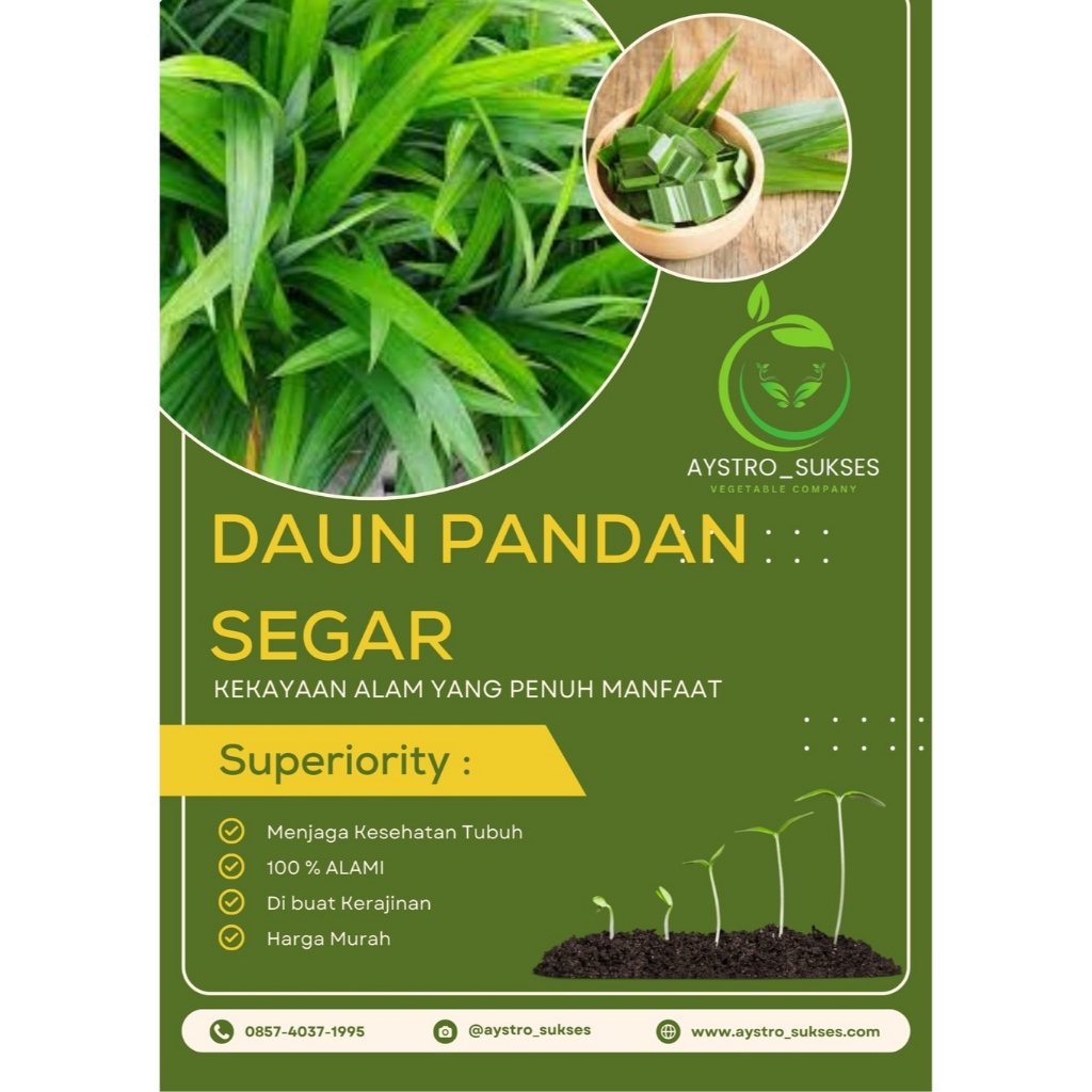 

MURAH!!!! PROMO!!! DAUN PANDAN Wangi Fresh