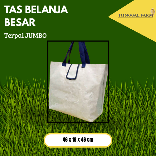 TAS BELANJA / TAS TERPAL / TAS TERPAL BELANJA / TAS BESAR / TAS BELANJA PASAR / 4646
