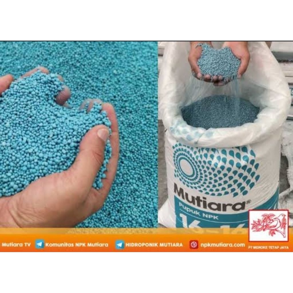 Pupuk NPK 16.16.16 MUTIARA 1 Kg kemasan eceran repacking original