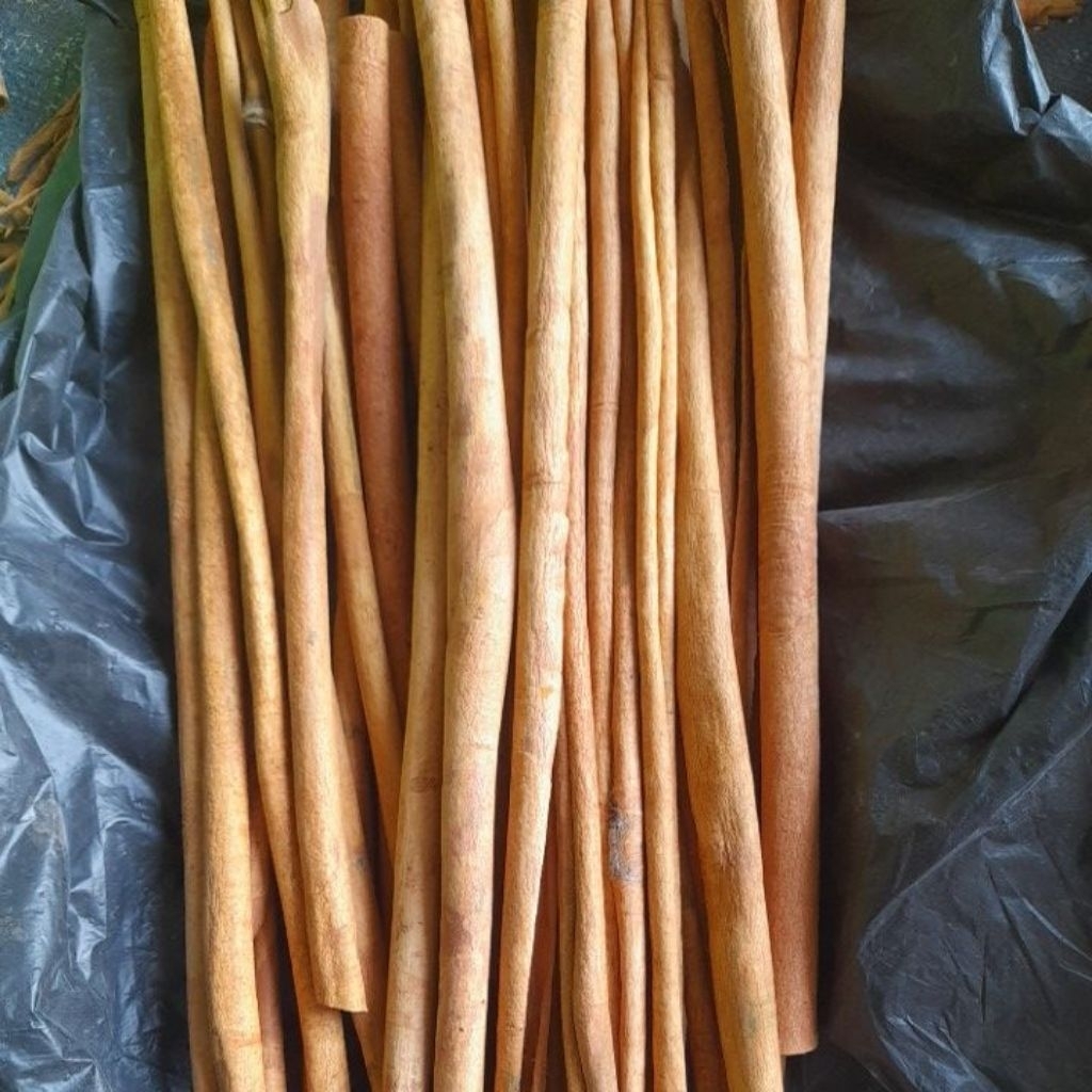 

kulit kayu manis asli kerinci Rp 8000 dapat 100 gr panjang 20 cm