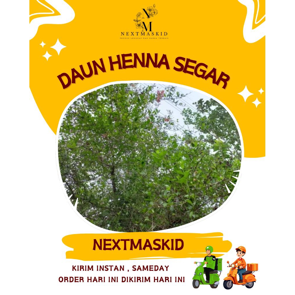 Daun Henna Segar - Daun Inai - Pacar  - Pewarna / Daun herbal