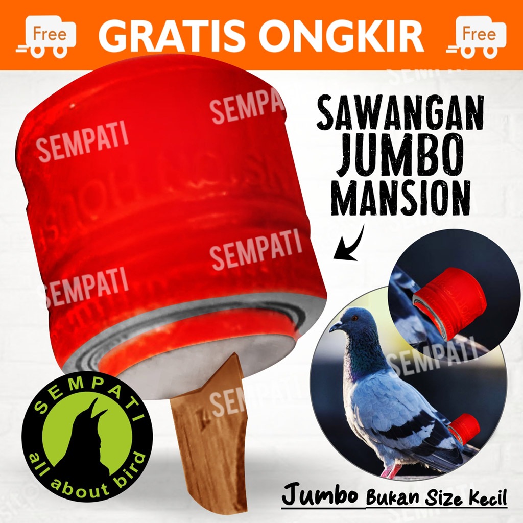SEMPATI Sawangan Merpati Jumbo Mansion 2 Lubang Hotang Hatong Sulingan Sempritan Angkrik Siulan Plui