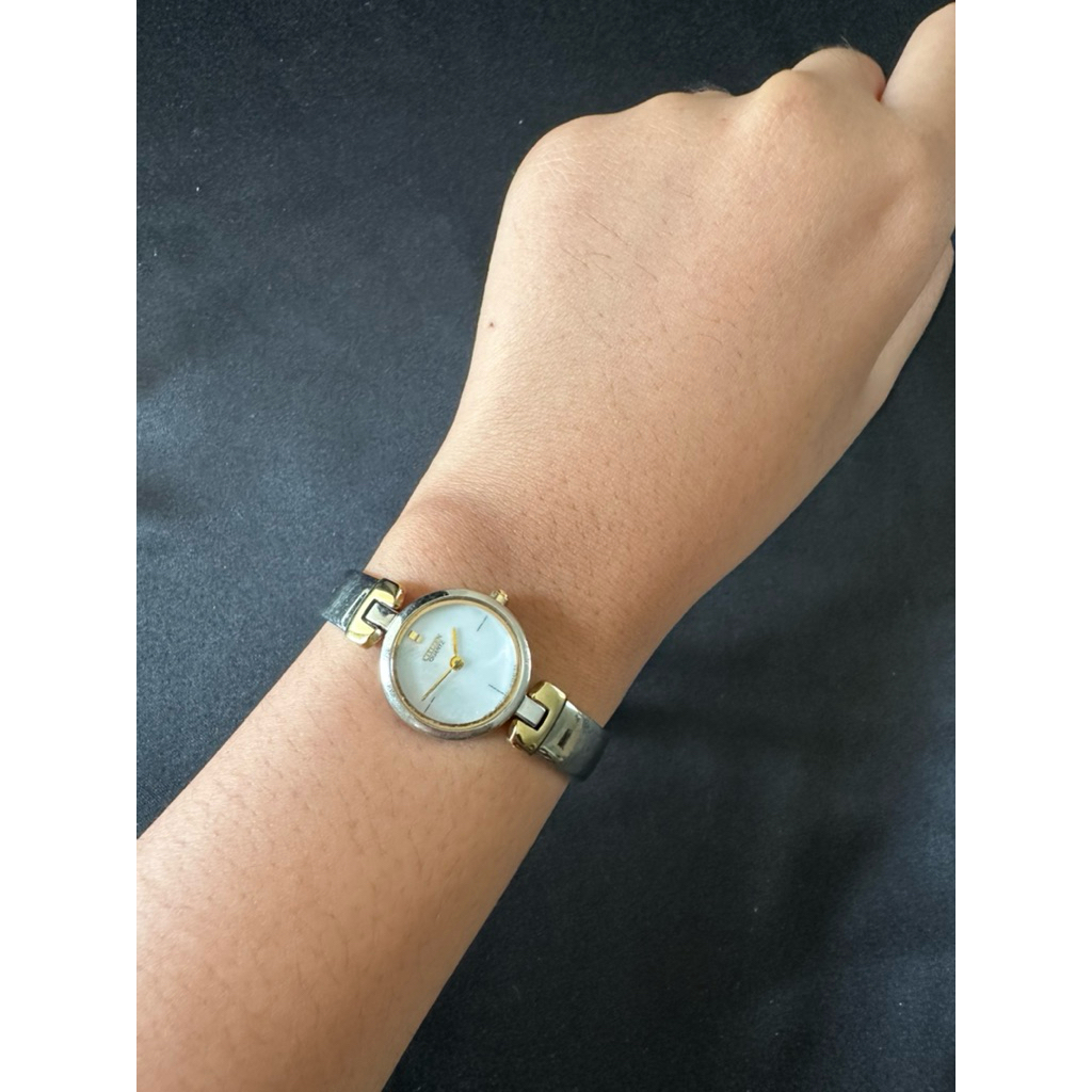 Citizen Silvertone Watch