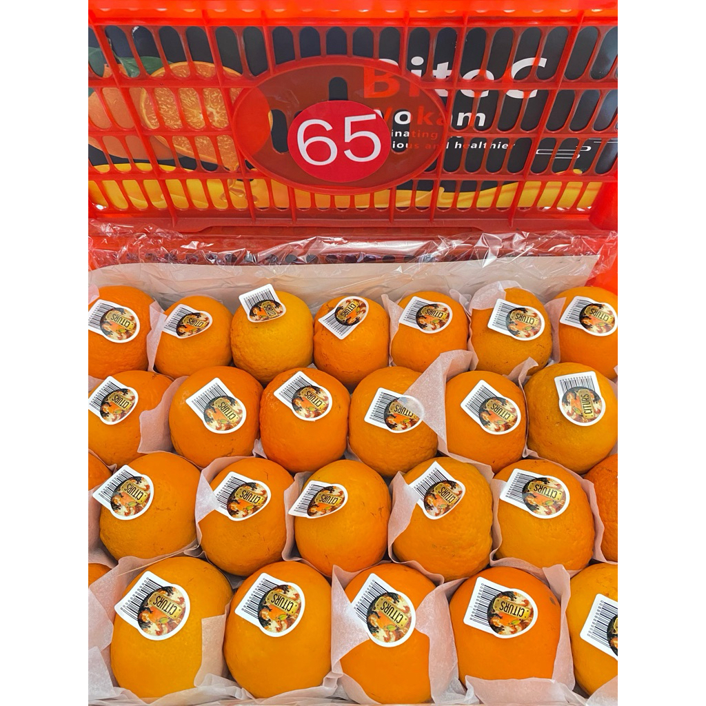 

JERUK MANDARIN (JERUK WOGAM CITRUS) 500g