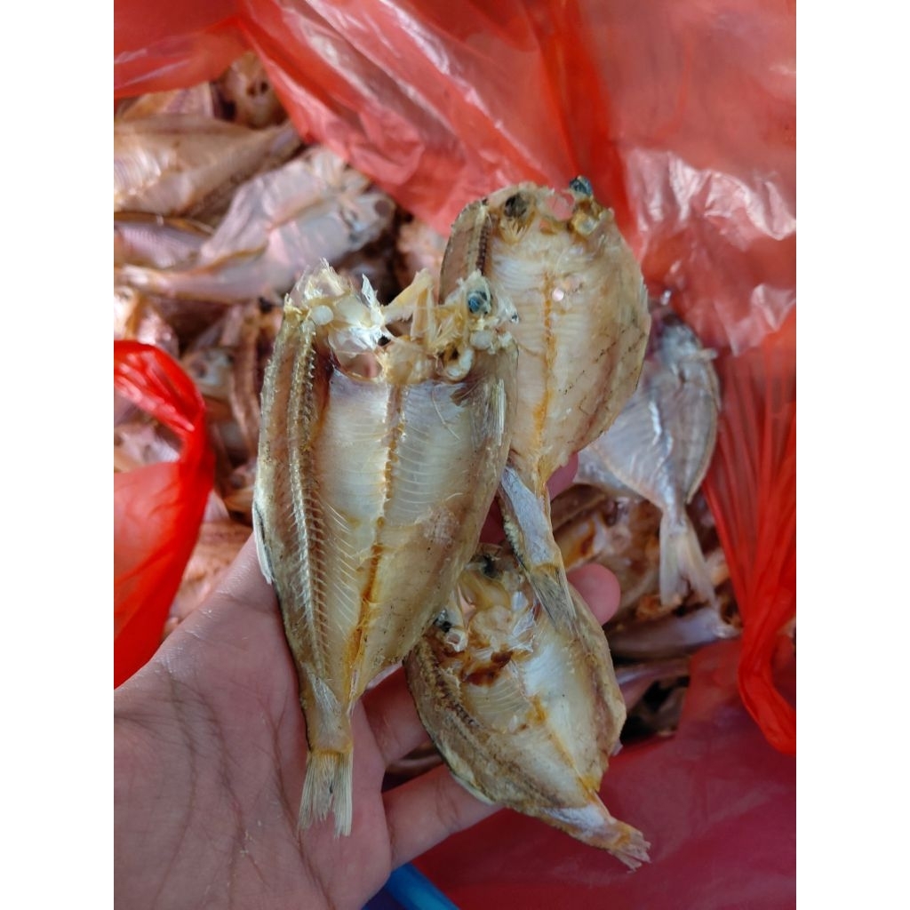 

Ikan Bilis Kering Tawar 250Grm Gurih Lezat Termurah