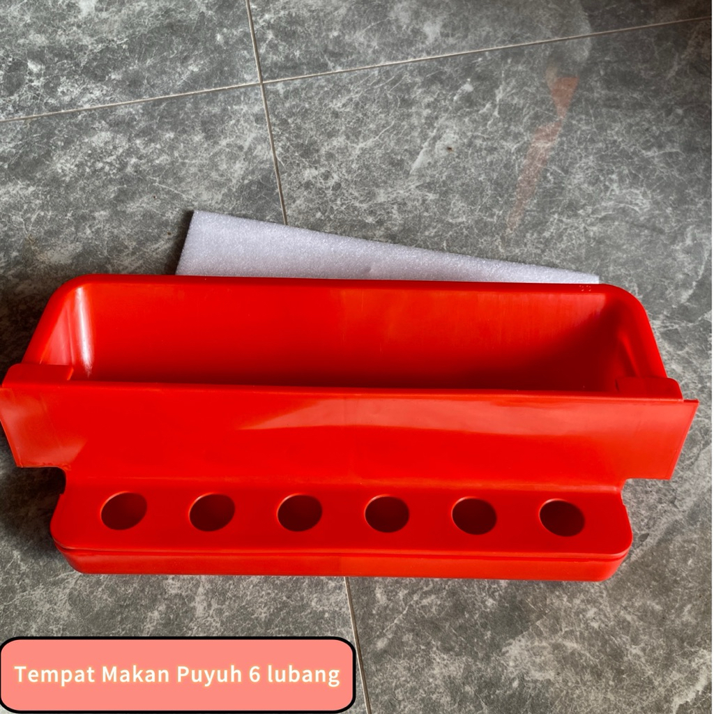 TEMPAT MAKAN PUYUH LUBANG 6 LESER PAKAN PUYUH PALNTONGAN MAKAN PUYUH BURUNG