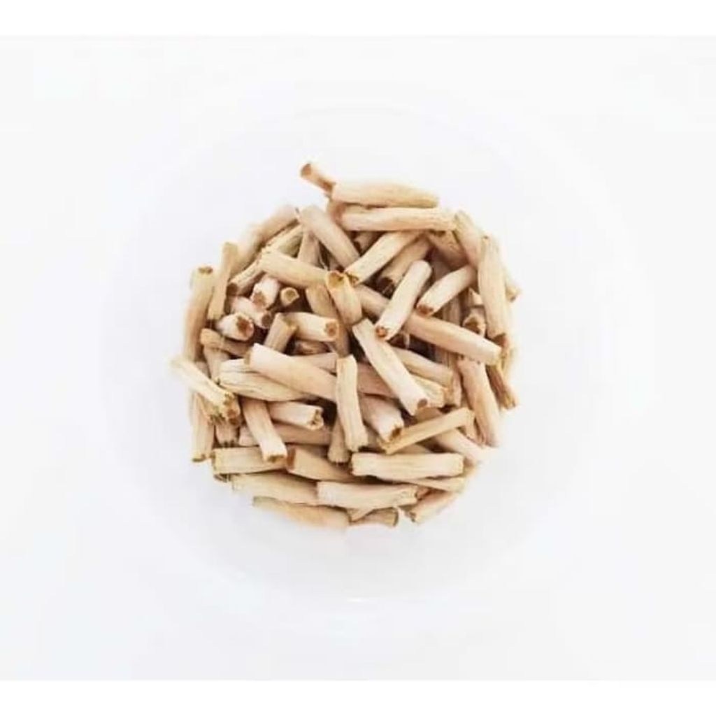 Benih Biji Bunga Adenium - Kamboja Jepang