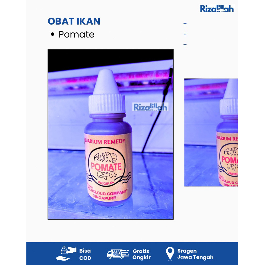 Obat Ikan Pomate