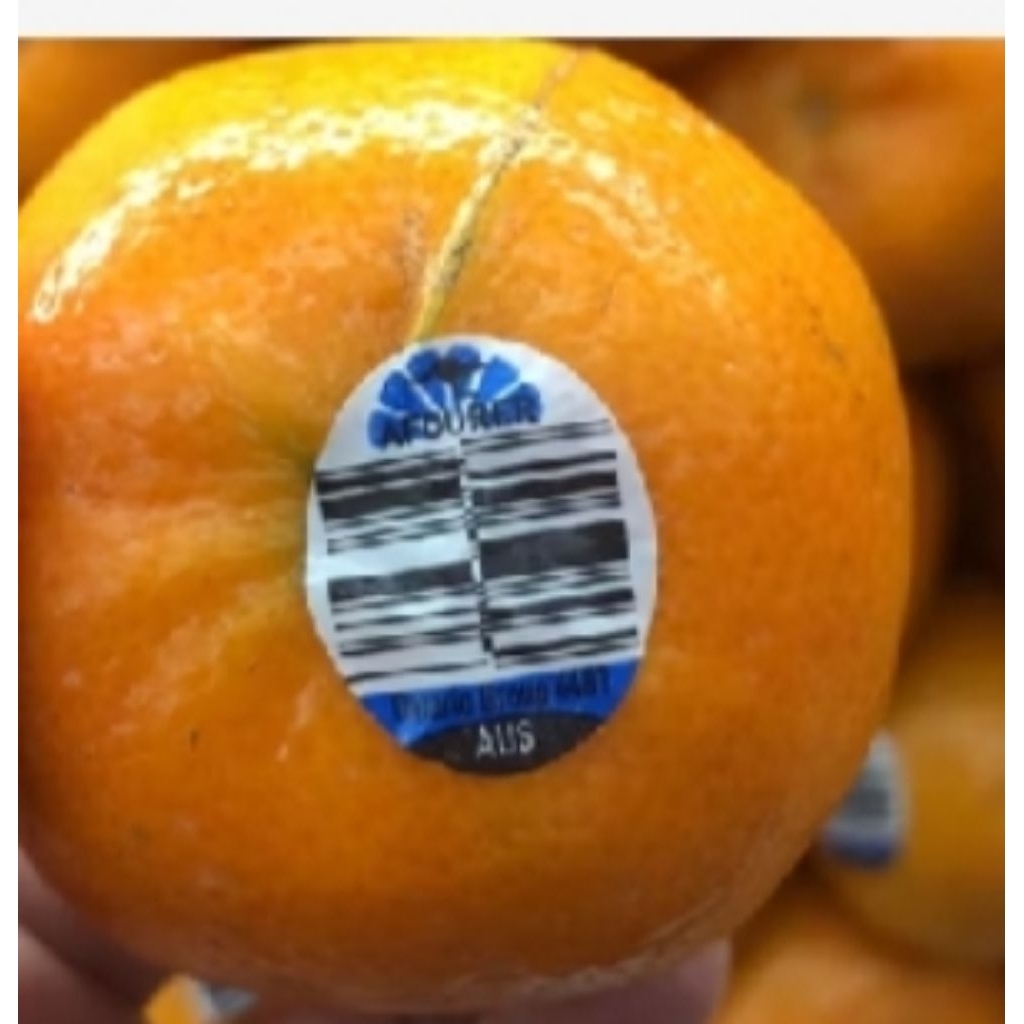 

Jeruk Afourer Mini Seedless Australia Tanpa Biji 1kg