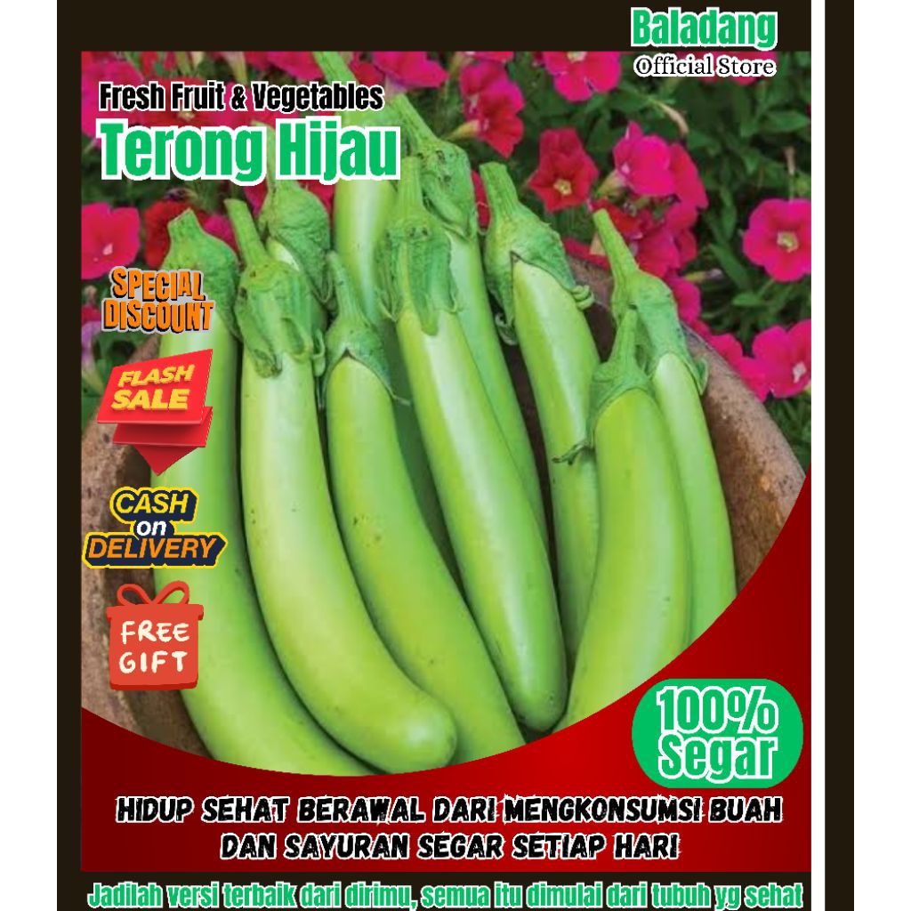 

BOS - Terong Hijau Segar 1 Kg Kualitas Terbaik