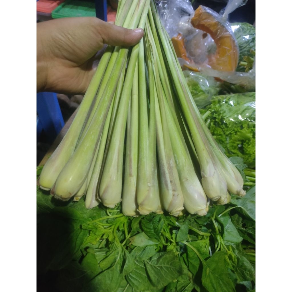 

INSTAN sereh daun serai batang sereh see sereh murah