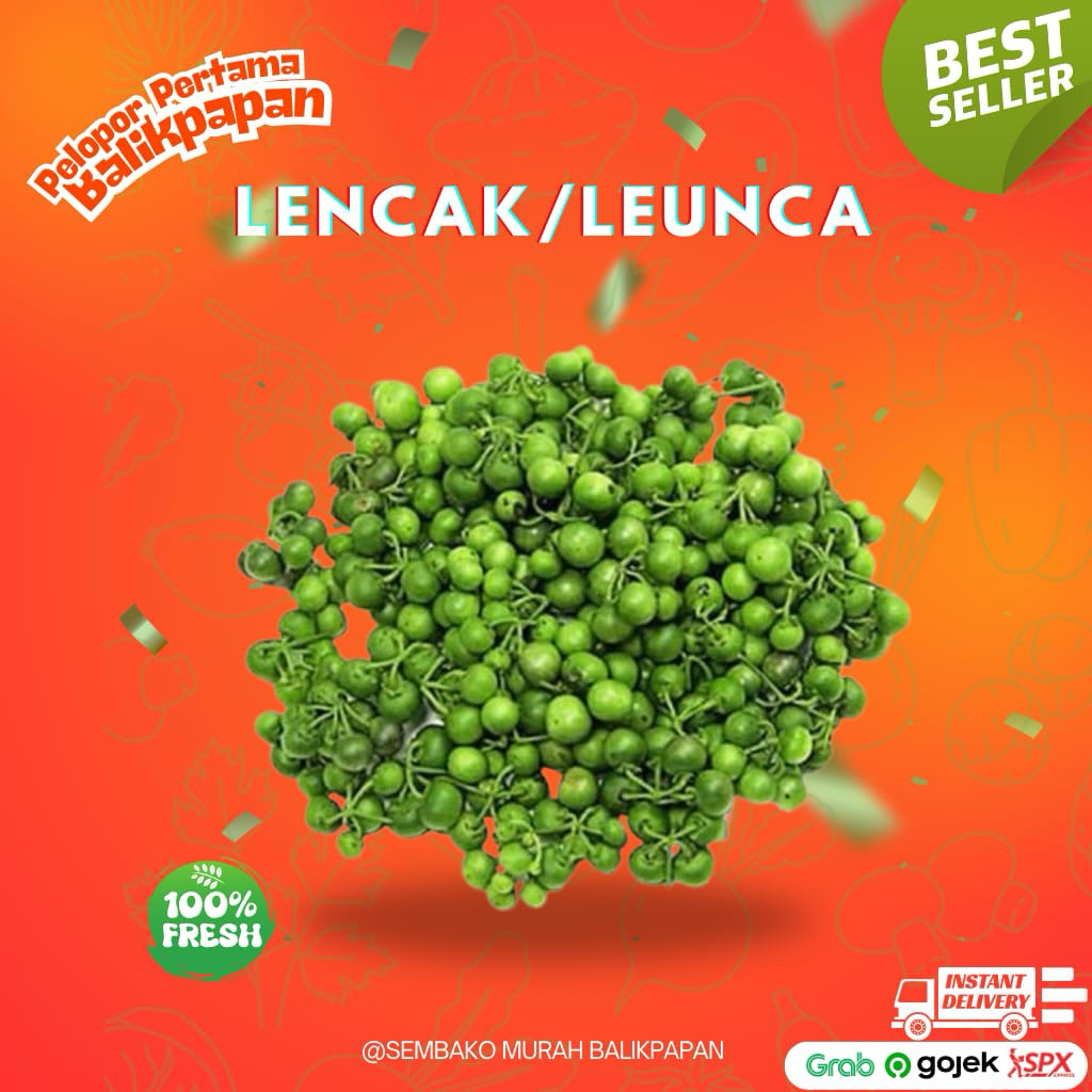 

lencak/leunca/lenca segar