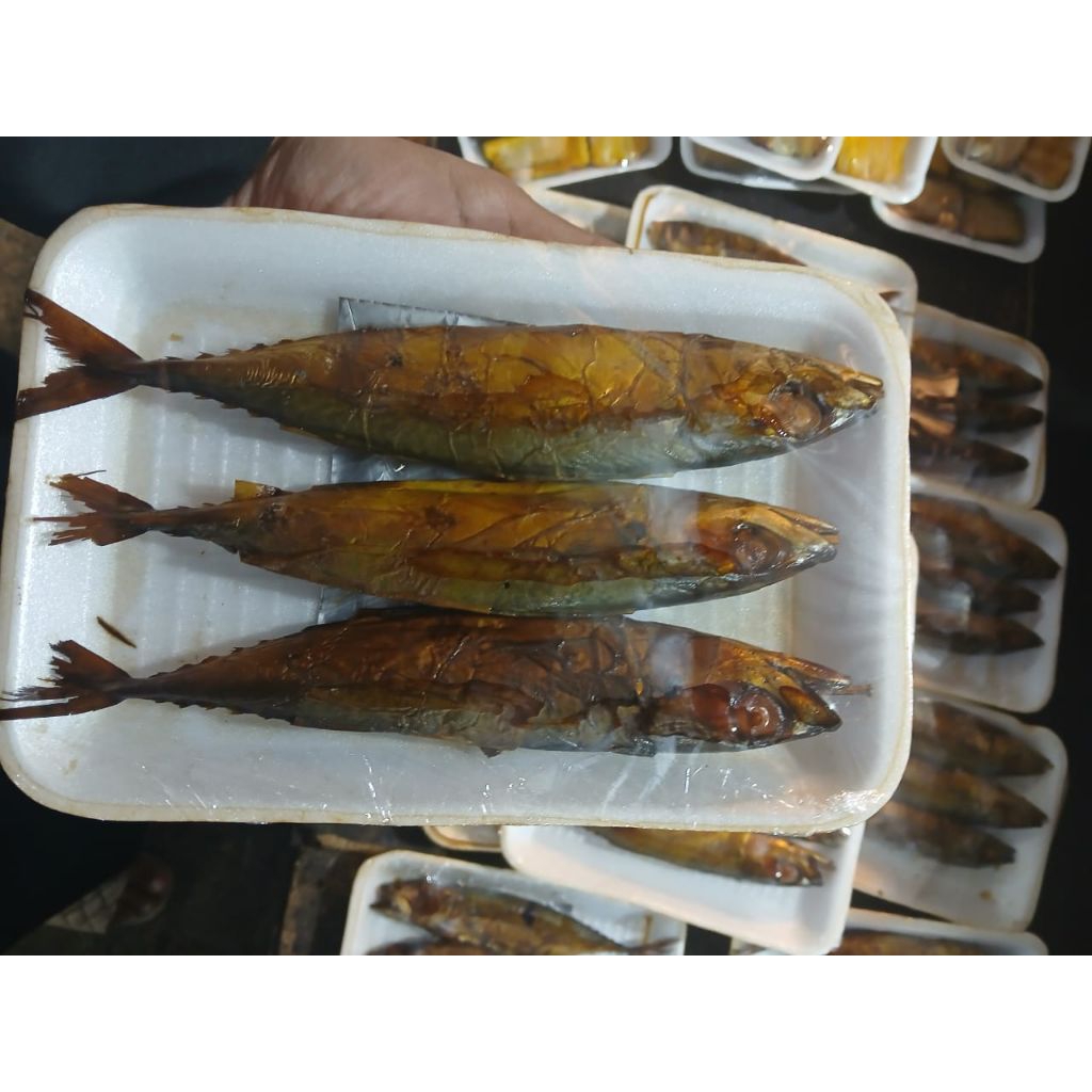 

IKAN SALEM ASAP 1 PACK 3 BIJI